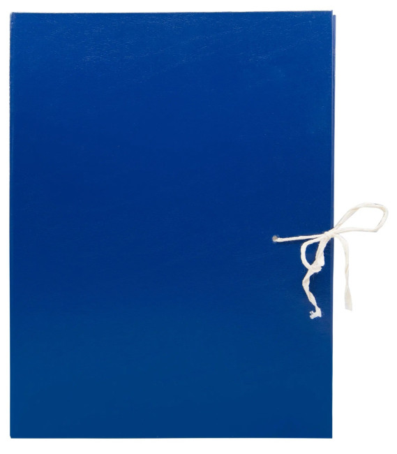 Папка архивная 4 завязки Silwerhof КБЗ-4-80Р бумвинил корешок 80мм разобранный A4 ассорти Папка архивная 4 завязки Silwerhof КБЗ-4-80Р бумвинил корешок 80мм разобранный A4 ассорти